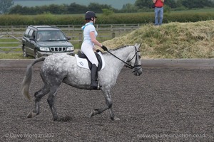 ISIS Dressage Challenge 2008